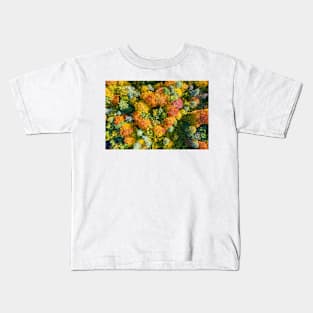 Aerial top down view of vibrant colorful autumn forest Kids T-Shirt